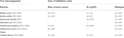 Green synthesis, characterizations of silver nanoparticles using sumac (Rhus coriaria L.) plant extract and their antimicrobial and DNA damage protective effects